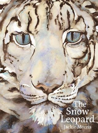 The snow leopard(另開視窗)
